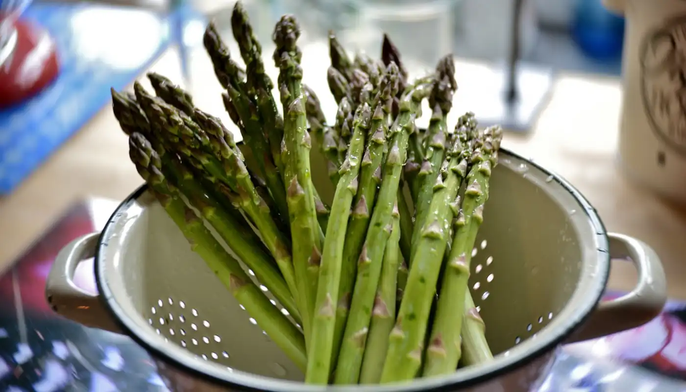 Asparagus setaceus