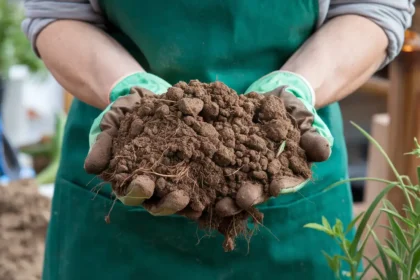 Best Soil for Gardening