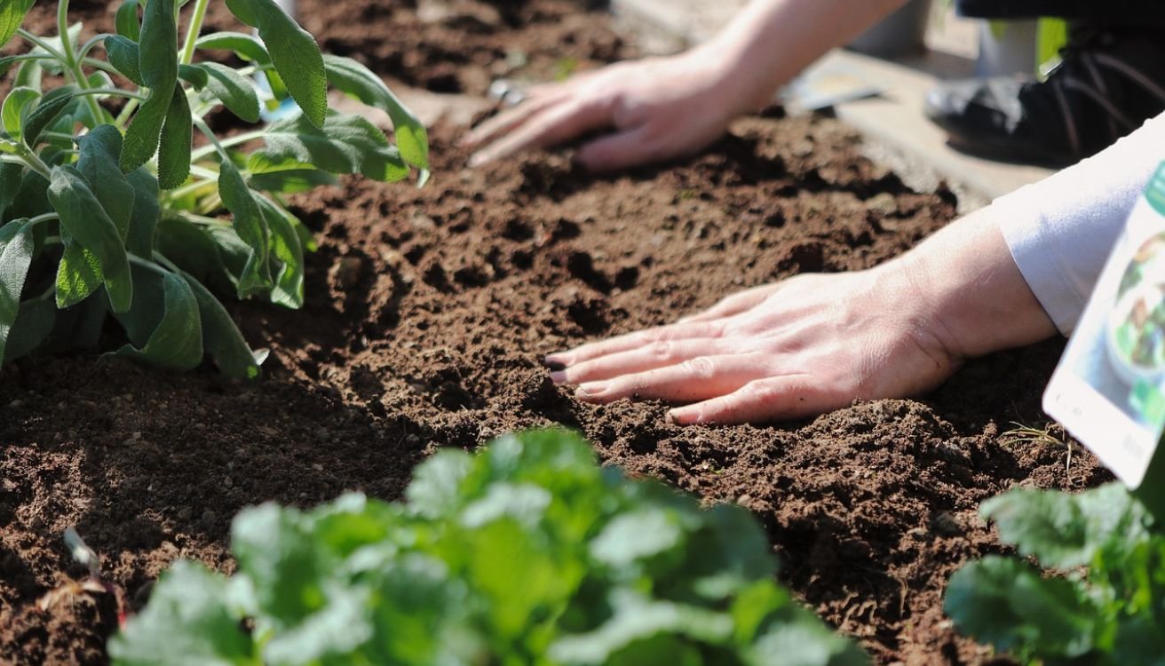 Fill Your Raised Bed With Soil