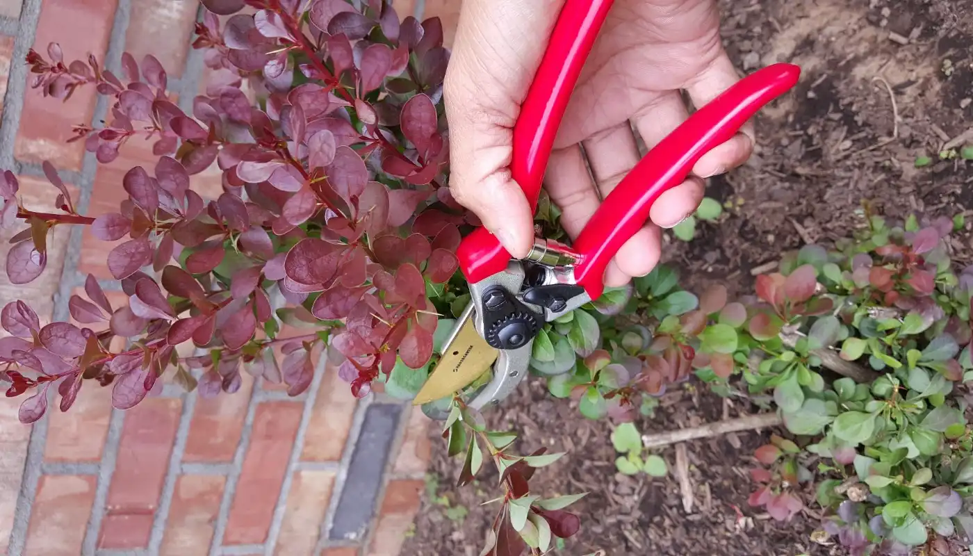 Haus & Garten ClassicPRO Bypass Pruning Shears