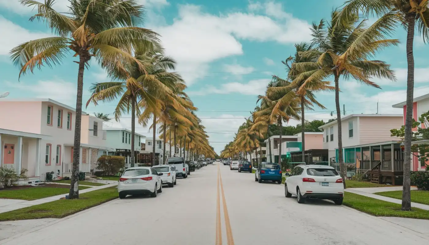 Top Palm Trees In Florida