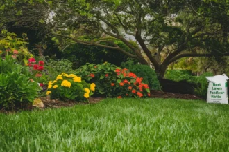 Best Lawn Fertilizer Ratio