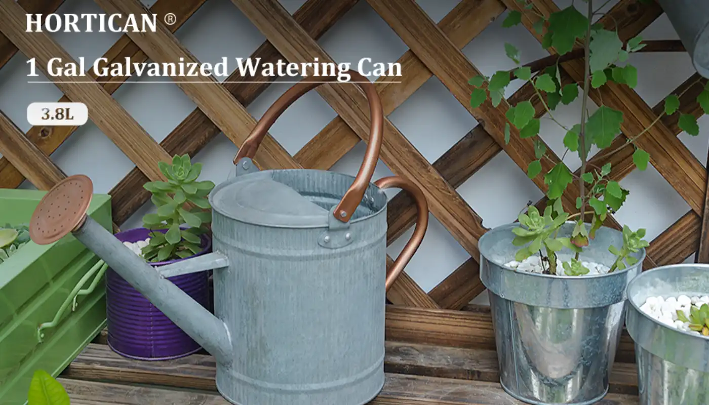 Hortican Galvanized Watering Can