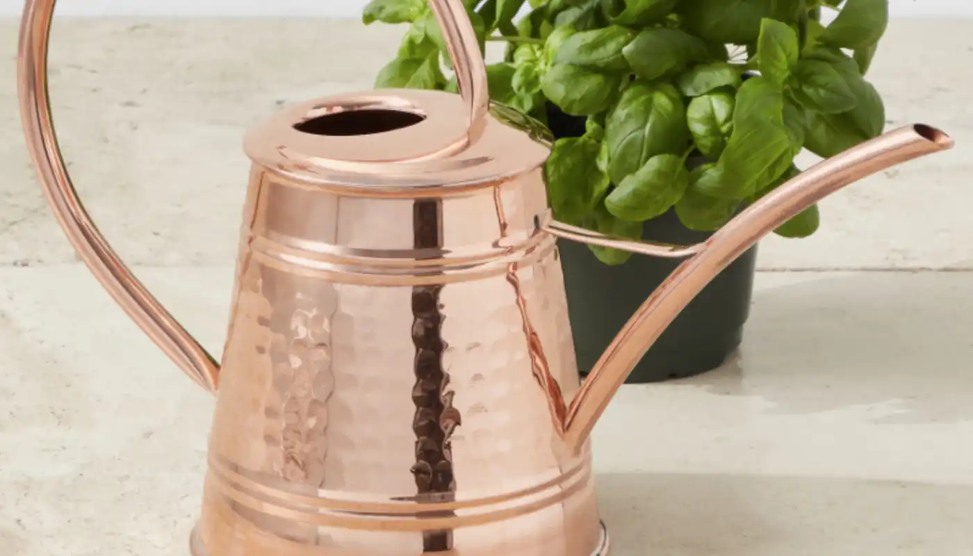 Williams Sonoma Tall Copper Watering Can