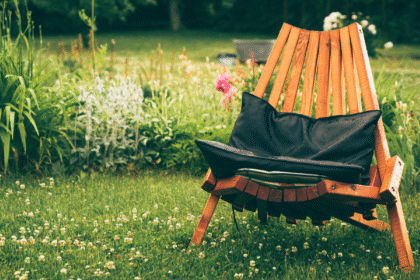 The Best Time To Plant Grass Seed For A Green Lawn: Timing And Tips For Success