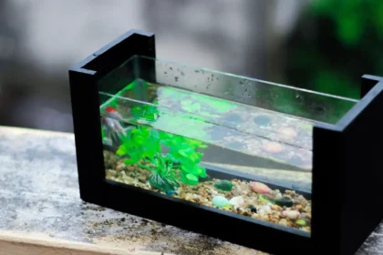 Best Substrate for Aquarium Plants (2026 Guide)