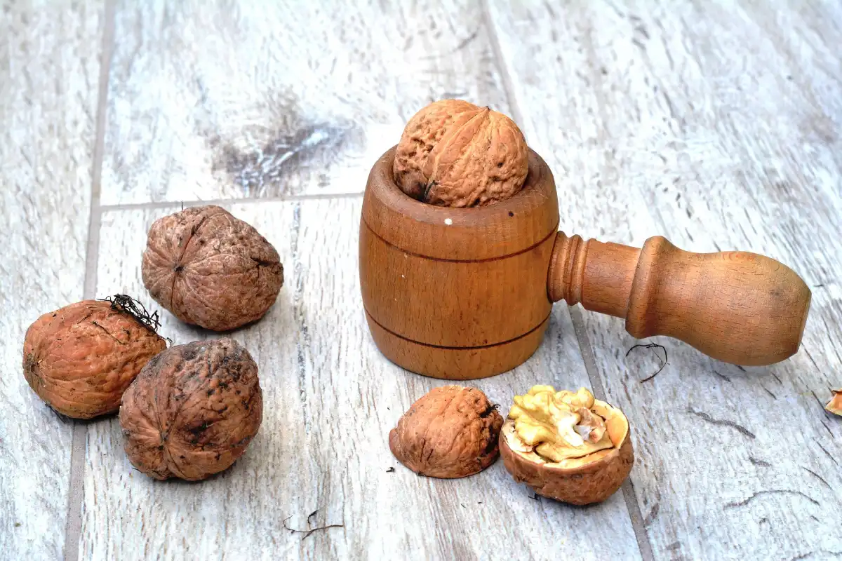 How to Sell Walnuts at Auction