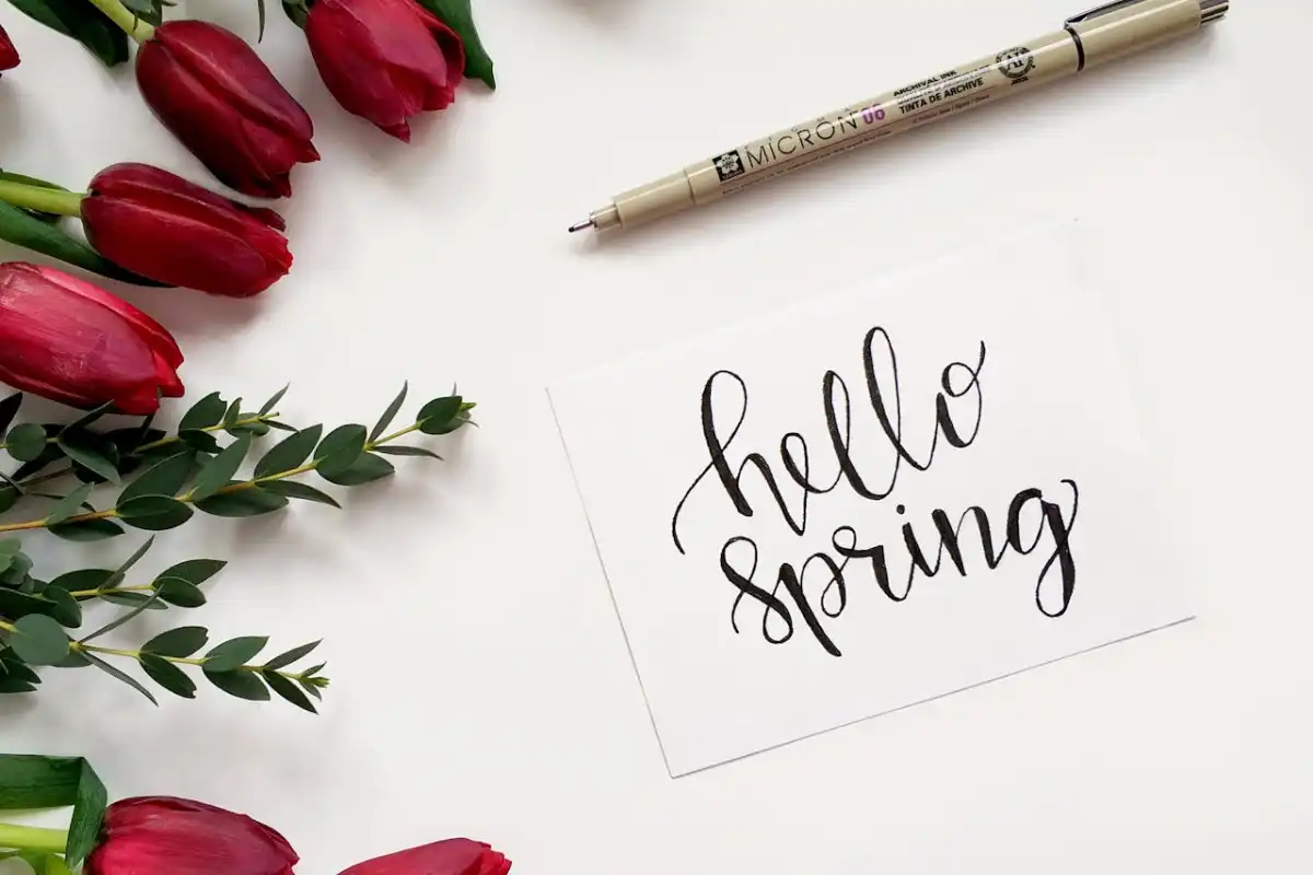 Best Time to Plant Wildflower Seeds in Spring