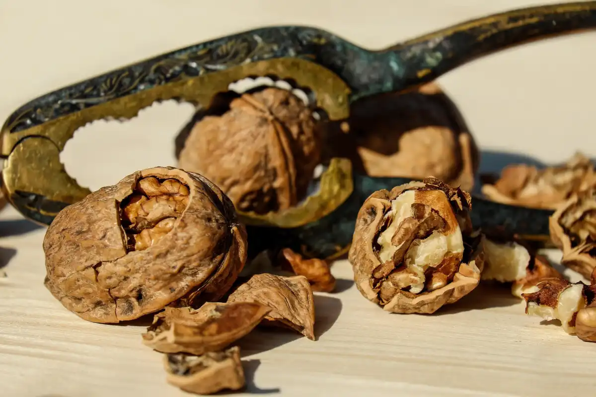 Buying Walnuts at Auction — Tips for Traders and Processors