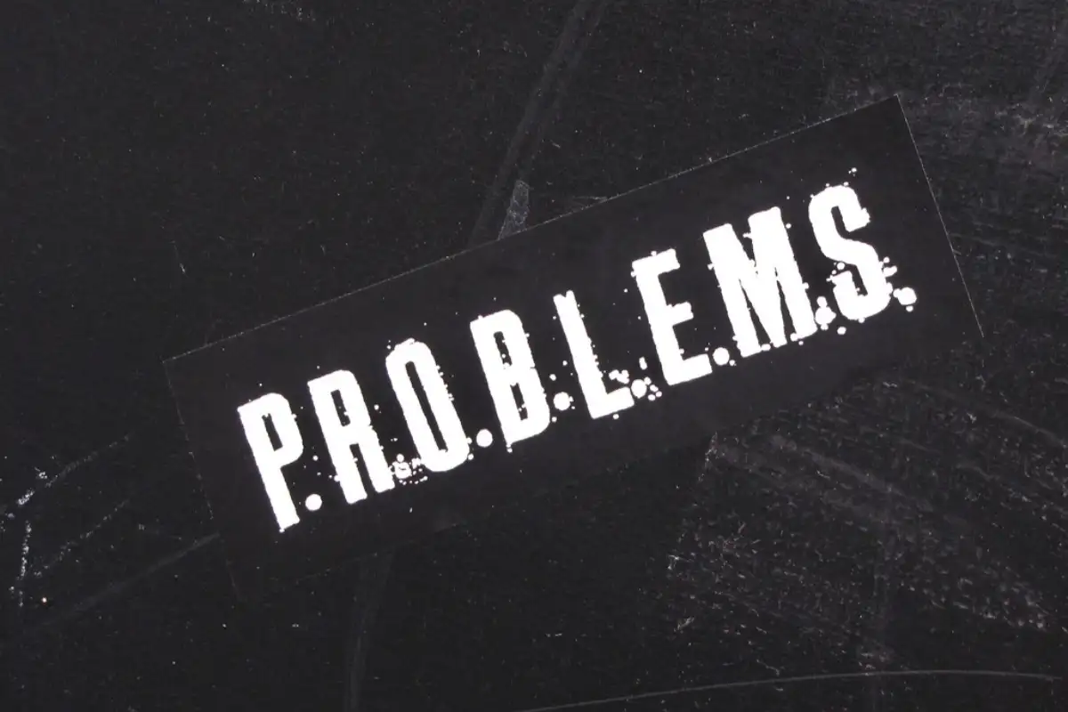 Common Problems with Palm Trees in Florida