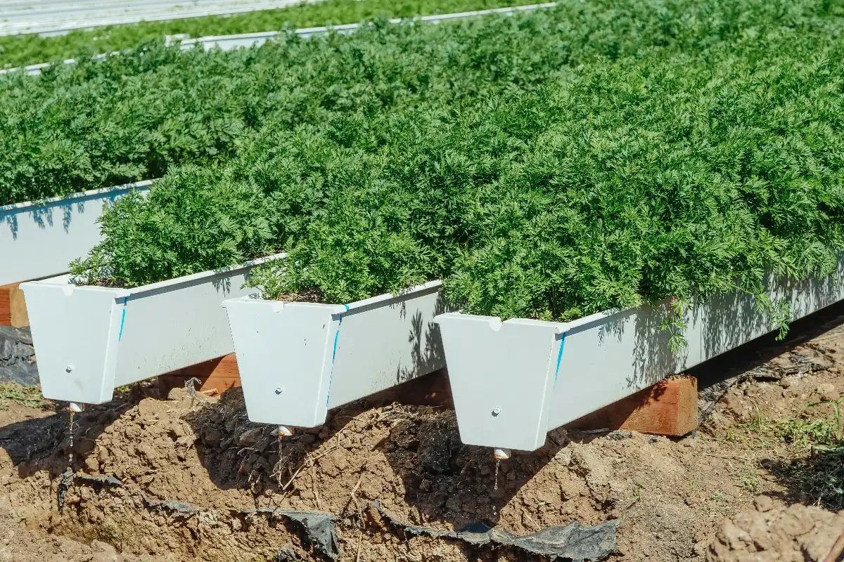 Extra Large Planters