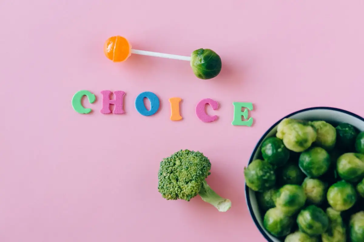 Hemp Planter vs. Drill — Which Is Better for Hemp