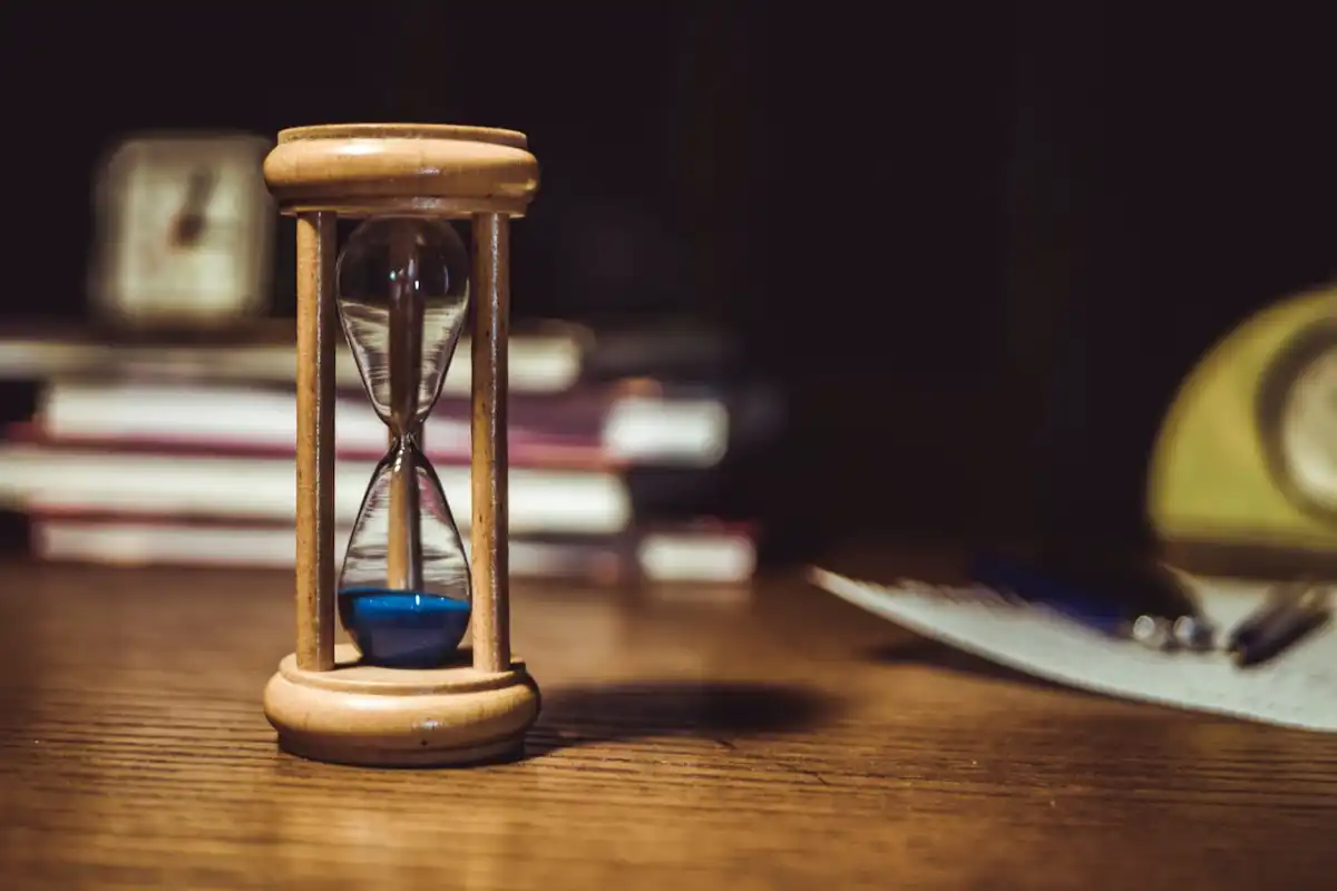 Why Timing Matters for Wildflower Seeds