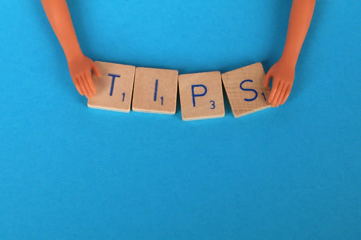 Wildflower Meadow Planting Tips